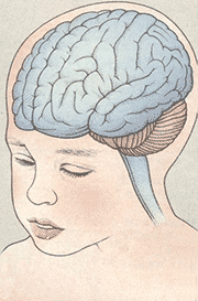 Заболевания мозга и психологические проблемы