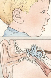 Ушные заболевания и нарушения слуха