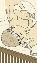 measure the infant head